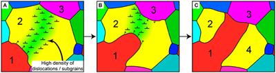 The Relevance of Grain Dissection for Grain Size Reduction in Polar Ice: Insights from Numerical Models and Ice Core Microstructure Analysis